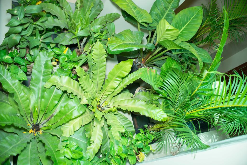 Riverview Cambodia Boutique Hotel Phnom Penh Bagian luar foto